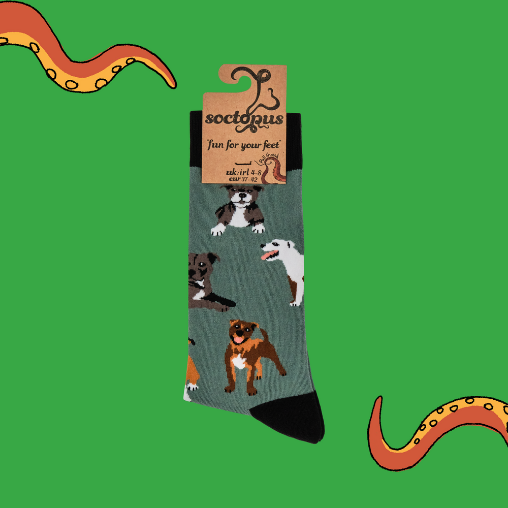 
                      
                        A  pair of socks with a staffie motif. Green legs, black heel, toe and cuff. 
                      
                    