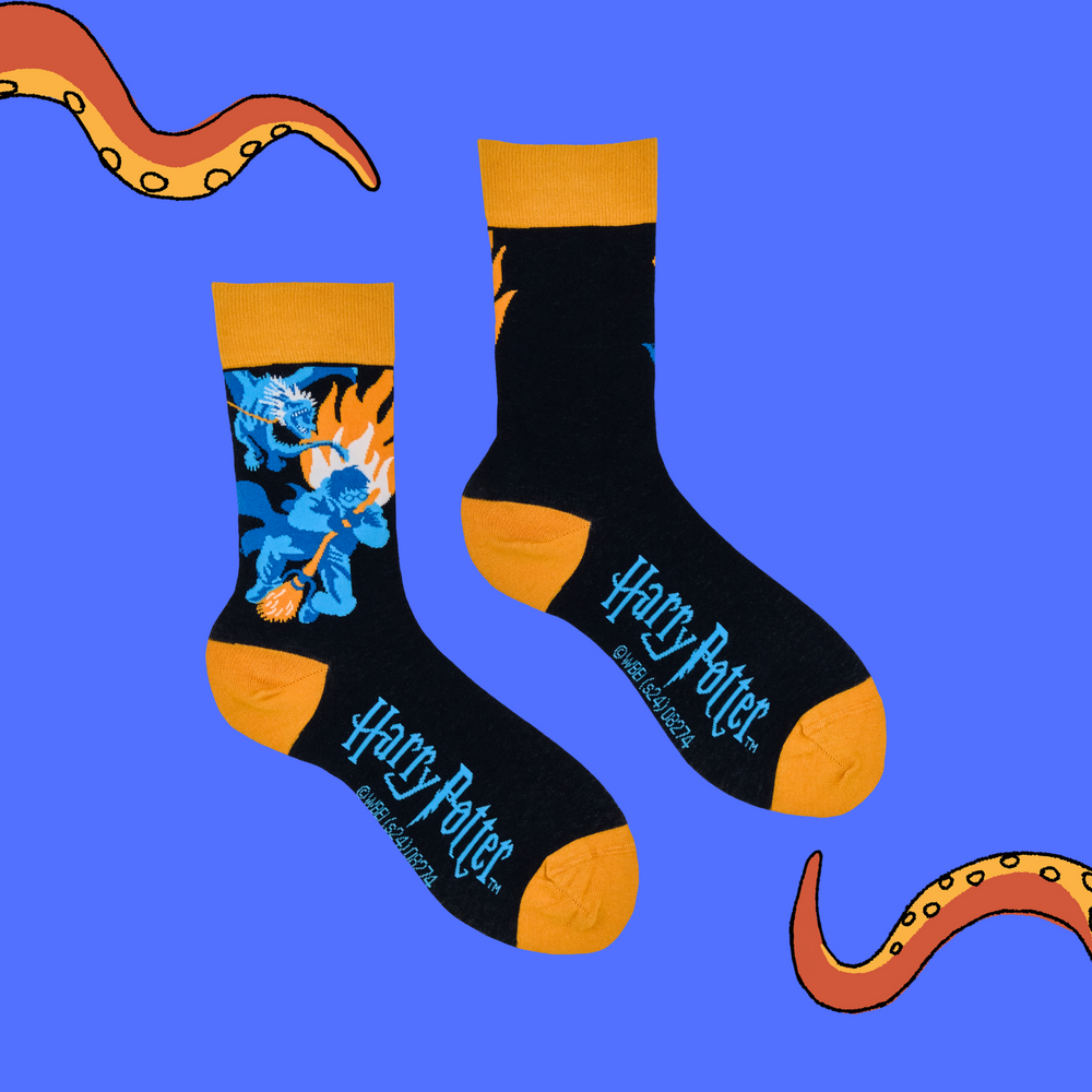 
                      
                        A pair of socks depicting harry Potter being chased by a dragon. Dark blue legs, yellow heel toe and cuff. 
                      
                    