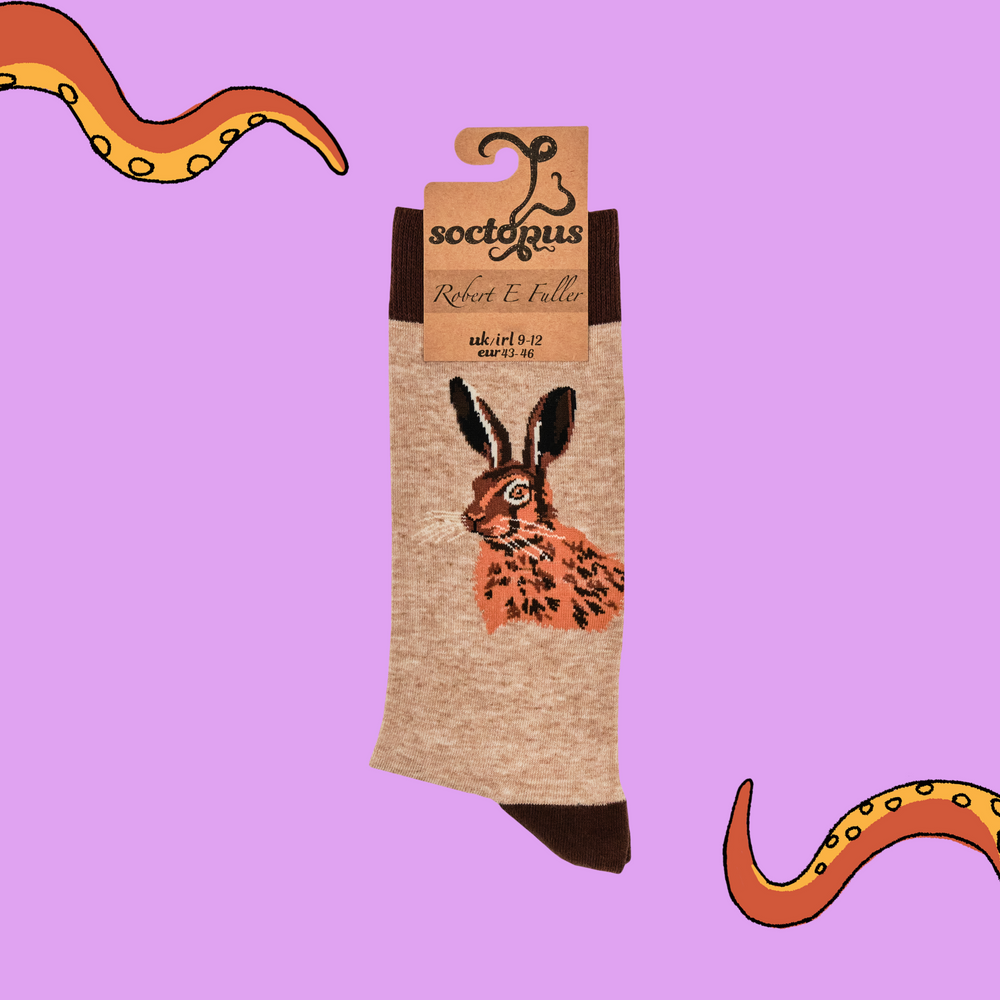 
                      
                        Hare Socks - Portrait of a Leveret
                      
                    