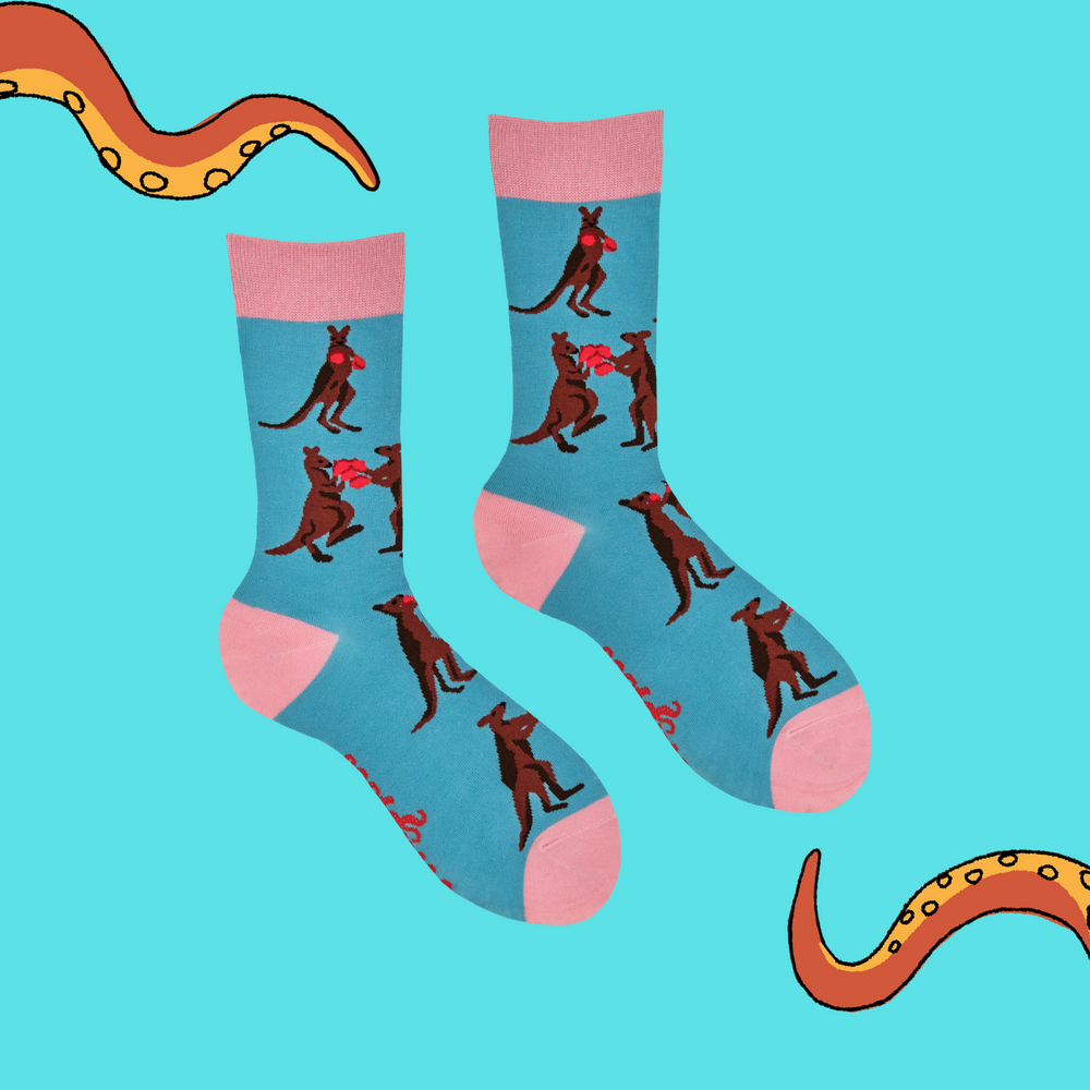 
                      
                        A pair of socks featuring a pair of boxing kangaroos. Bright blue legs, bright pink cuff, heel and toe. 
                      
                    