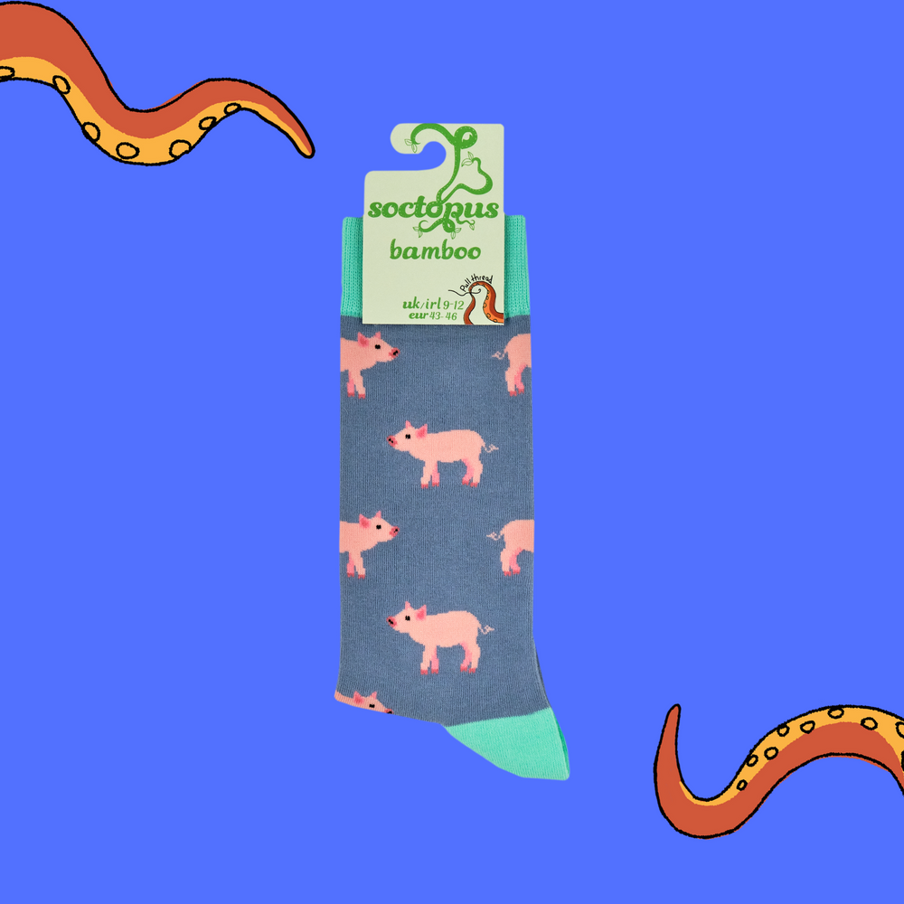 
                      
                        Piglets Bamboo Socks
                      
                    