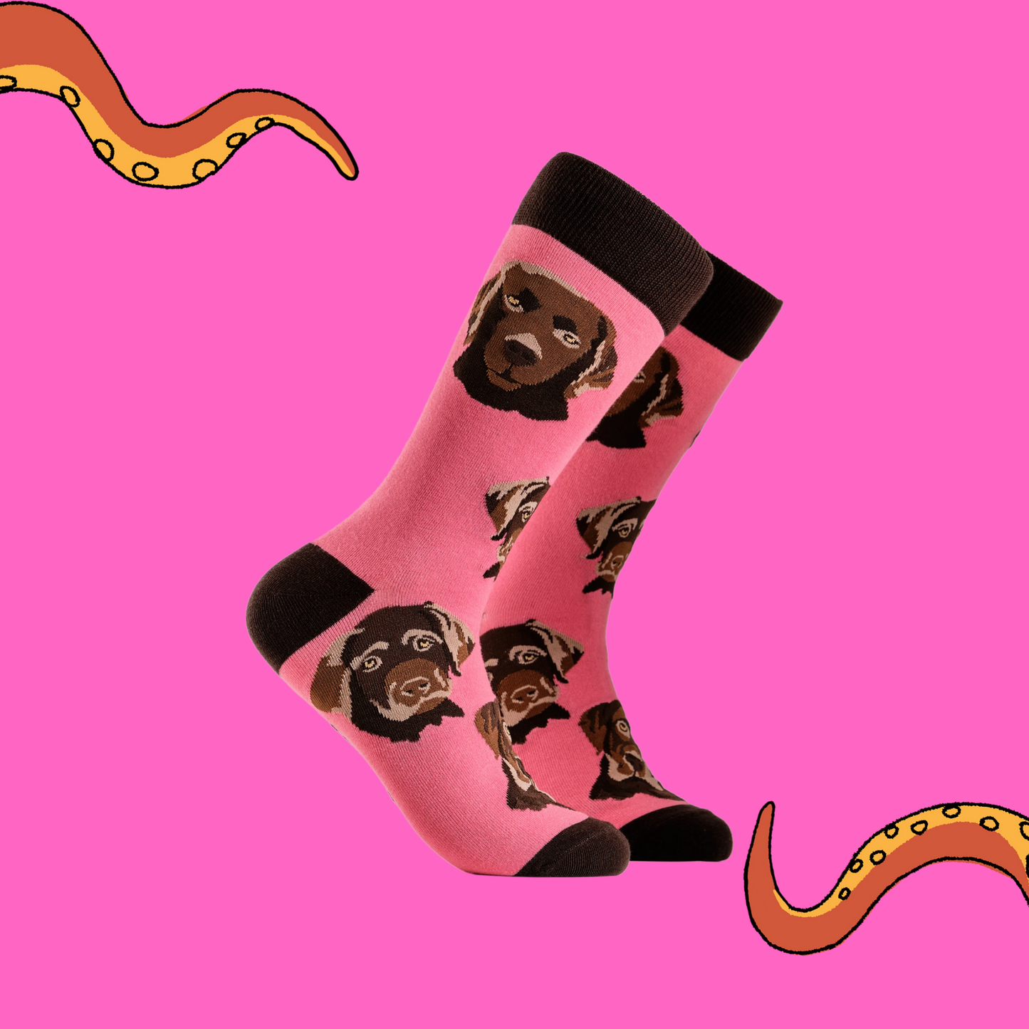 A pair of socks depicting chocolate Labradors. Pink legs, brown cuff, heel and toe.