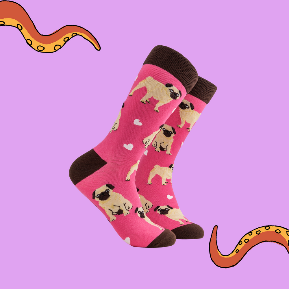 A pair of socks depicting hearts and pugs. Pink legs, brown cuff, heel and toe.
