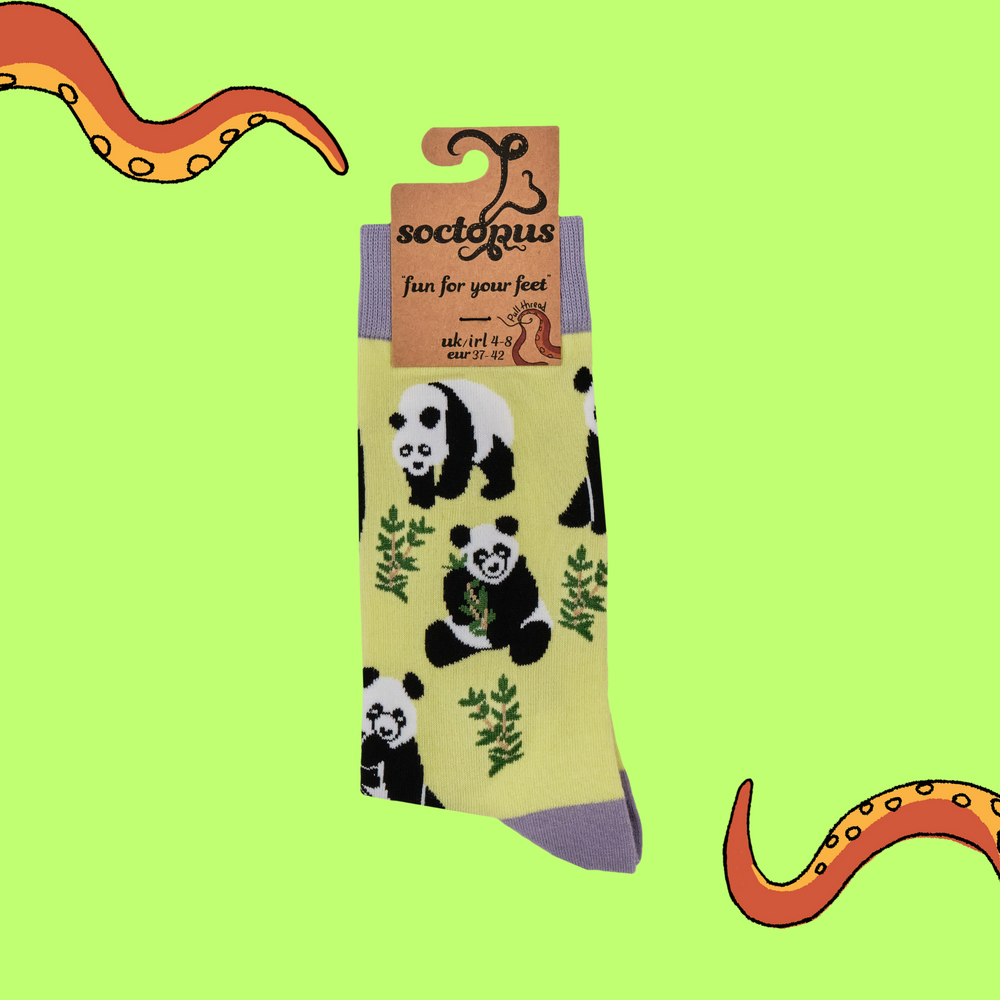 
                      
                        Panda Socks - Stu-Pandous
                      
                    