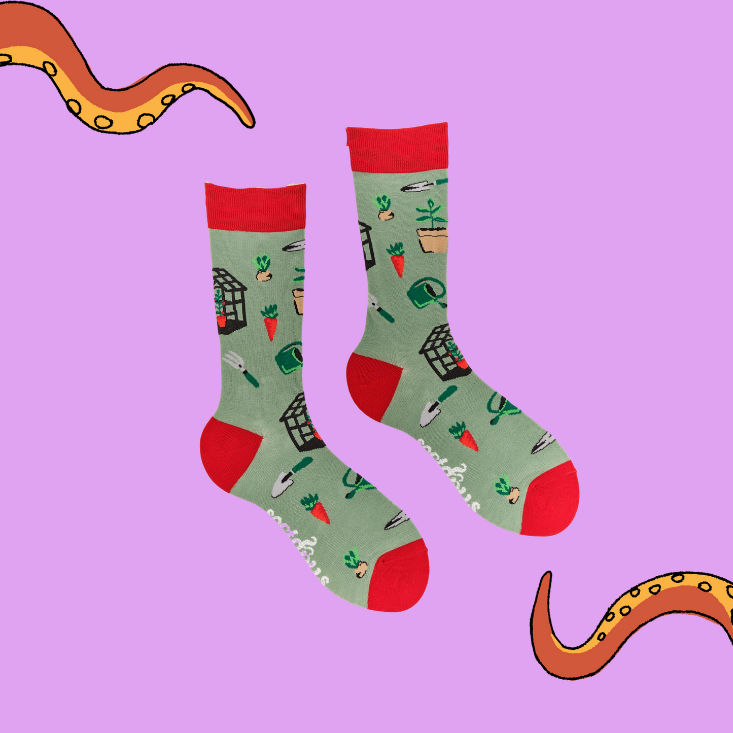 
                  
                    A pair of socks depicting garden tools and greenhouses. Green legs, red cuff, heel and toe.
                  
                