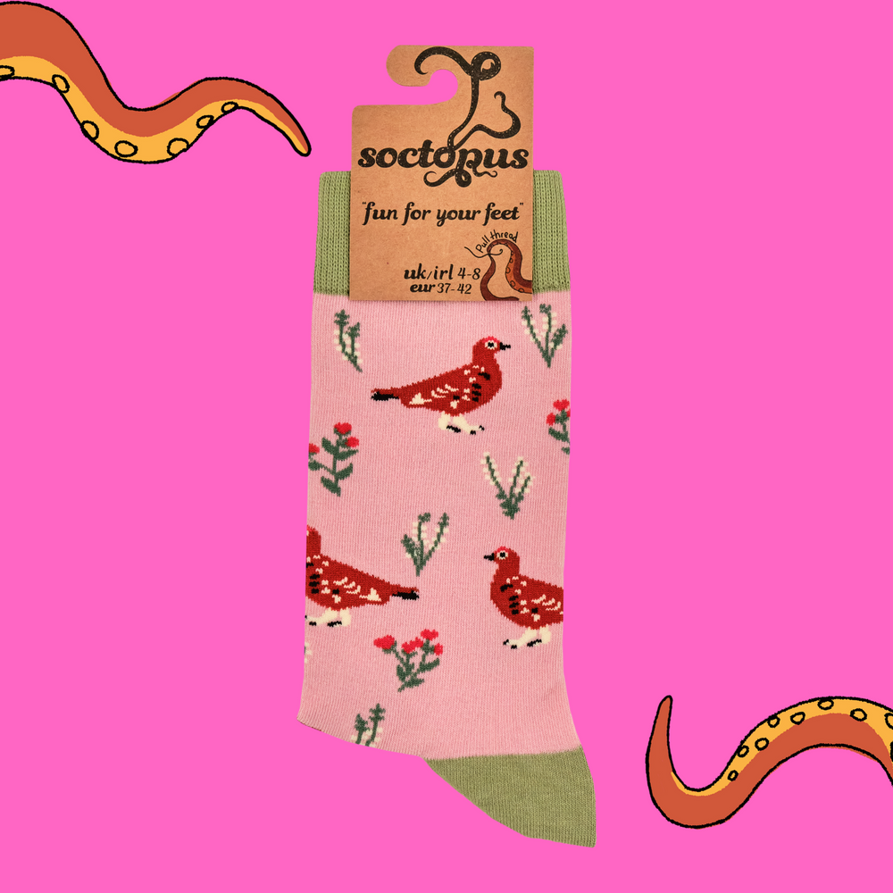 
                      
                        A pair of socks featuring a grouse motif. Pink legs, green heel, toe and cuff. 
                      
                    