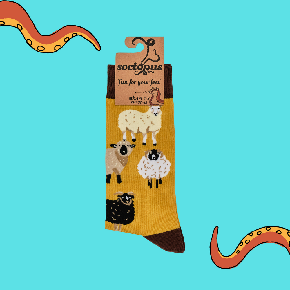 
                      
                        Sheep Lover Socks
                      
                    