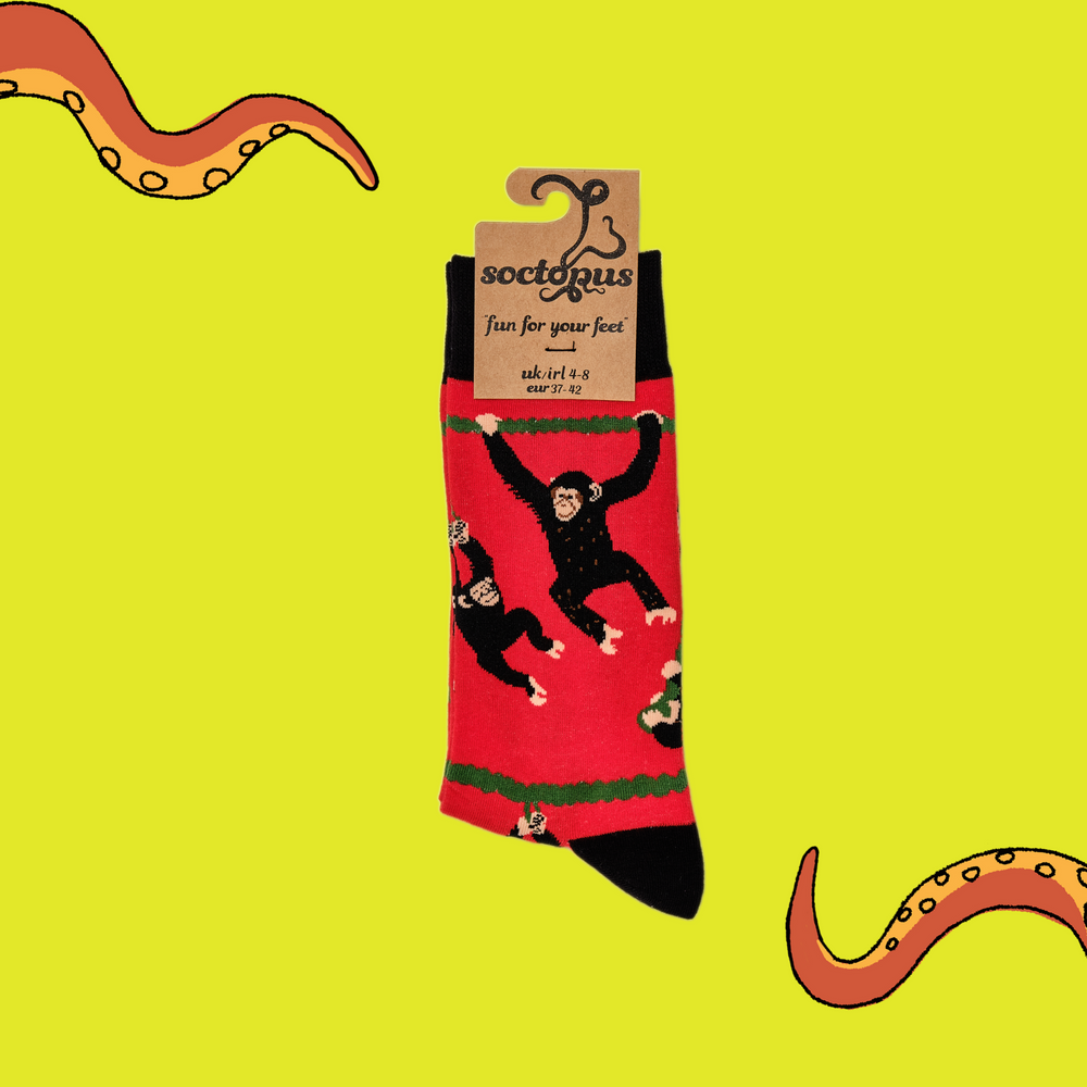 
                      
                        A pair of socks depicting playful chimpanzees. Red legs, black cuff, heel and toe. In Soctopus Packaging.
                      
                    