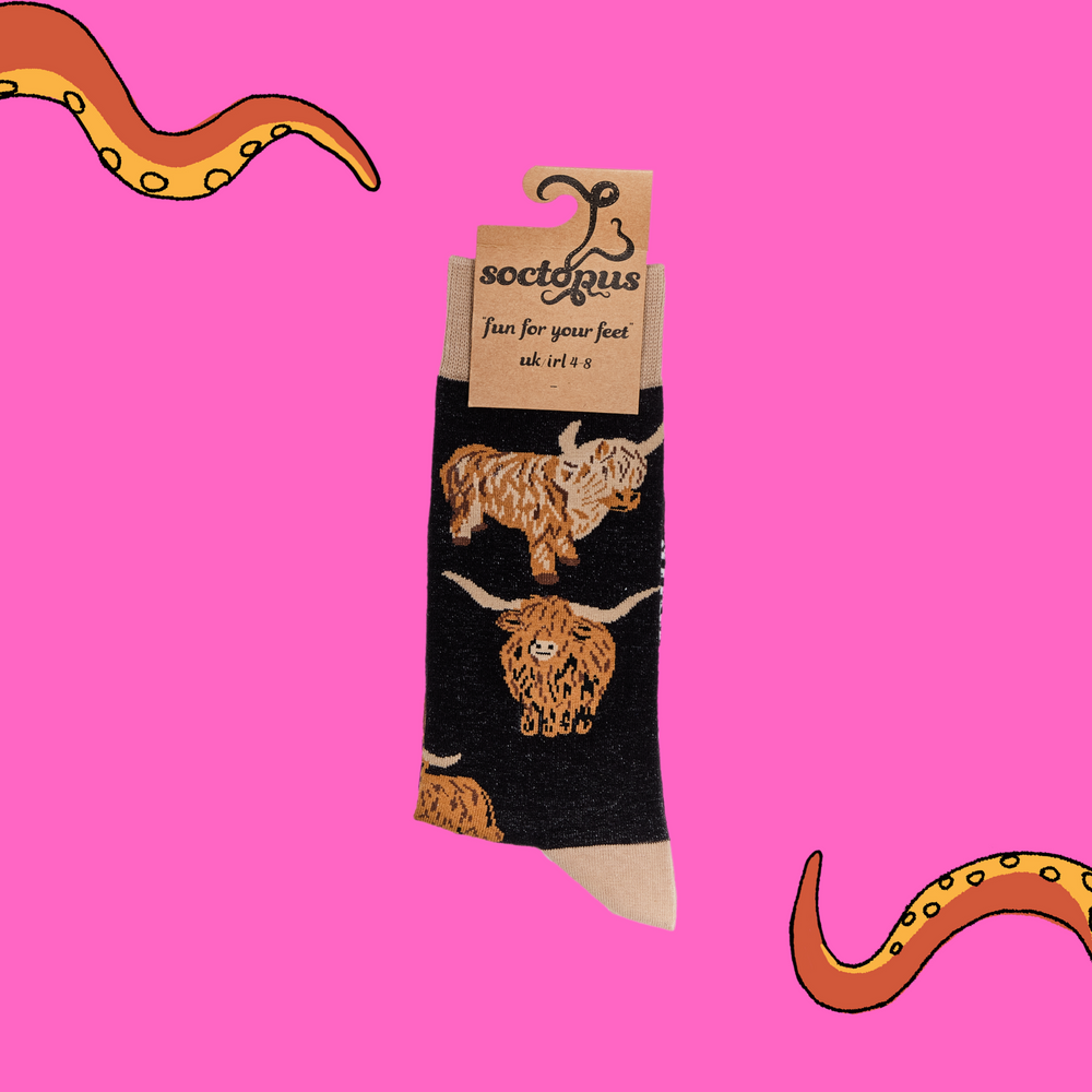 
                      
                        A pair of socks depicting highland cows. Black legs, cream cuff, heel and toe. In Soctopus Packaging.
                      
                    