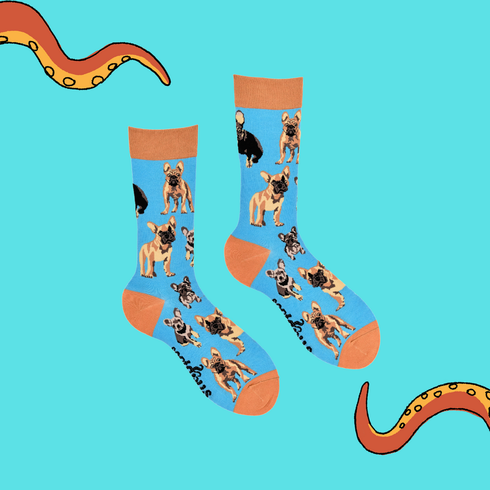 
                      
                        A pair of socks depicting french bulldogs. Blue legs, brown cuff, heel and toe.
                      
                    