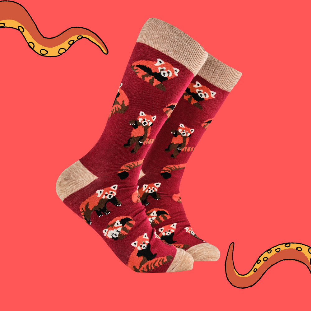 
                      
                        A pair of socks depicting cute little red pandas. Red legs, brown heel, toe and cuff. 
                      
                    