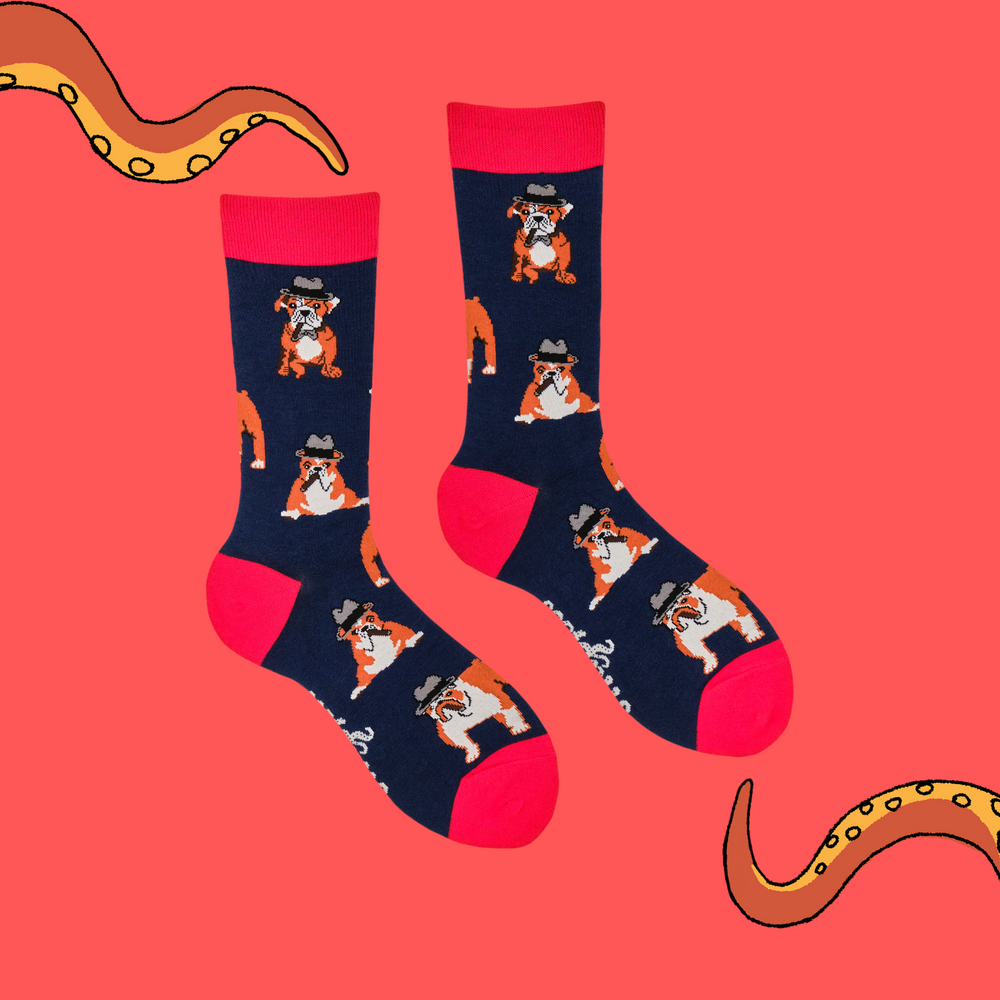 
                      
                        A pair of socks with a bulldog and winston churchill motif. Dark blue legs, red heel, toe and cuff. 
                      
                    