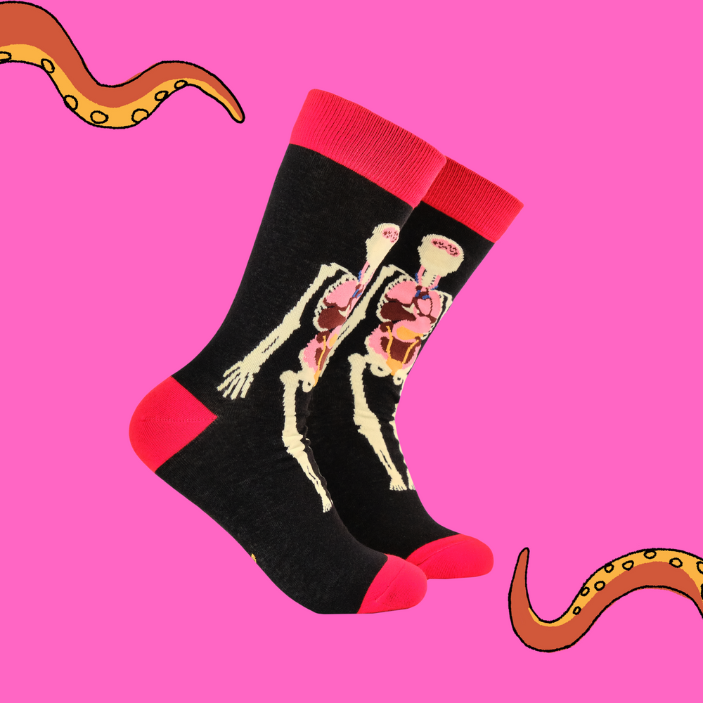 
                      
                        A pair of socks featuring an anatomy model. Black legs, red heel, toe and cuff. 
                      
                    