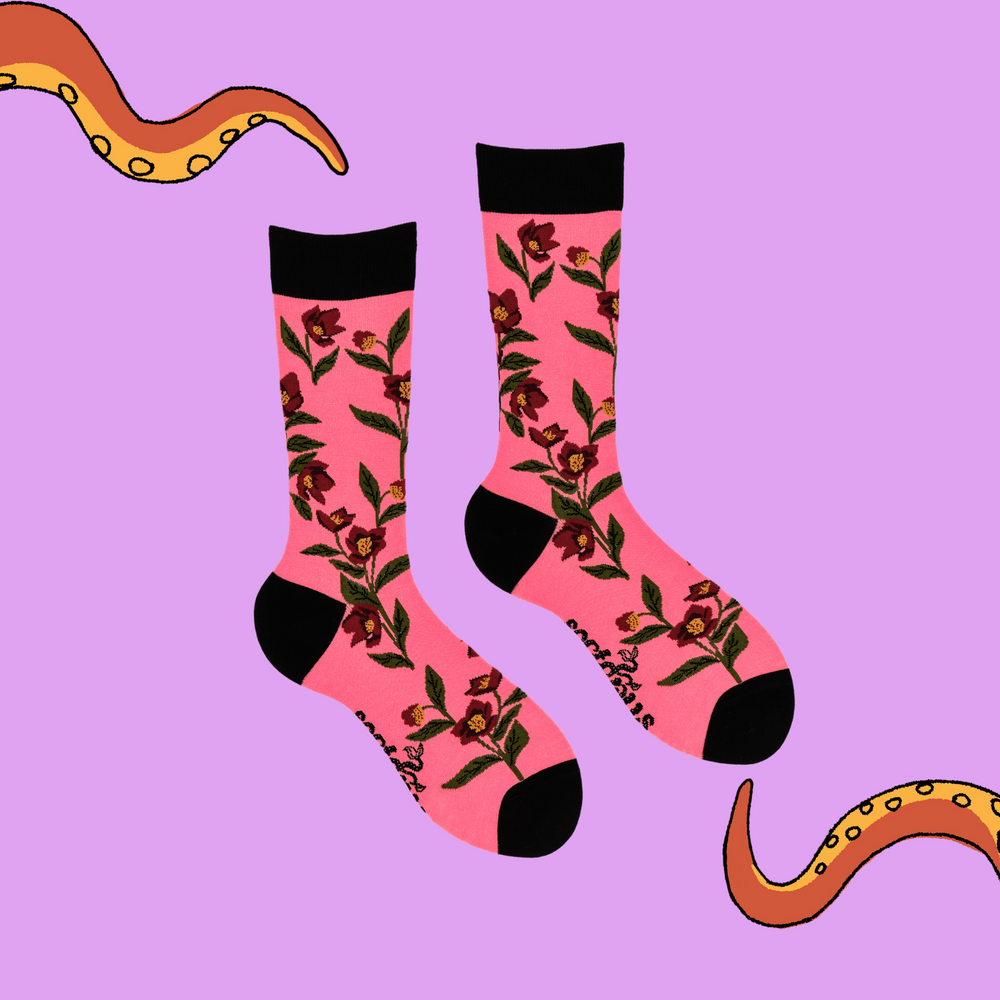 
                  
                    A pair of socks depicting hellebores. Pink legs, black cuff, heel and toe.
                  
                