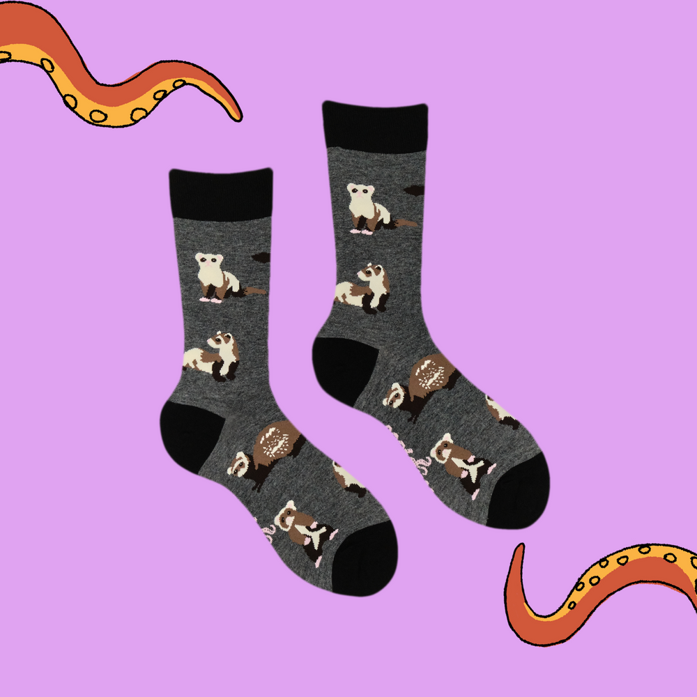 
                      
                        A pair of socks featuring ferrets. Grey legs, black heel, toe and cuff. 
                      
                    