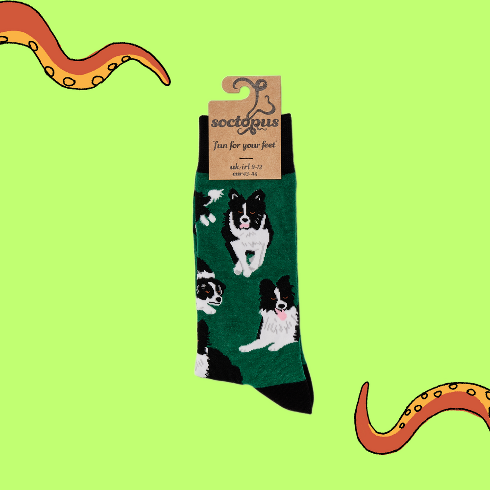 
                  
                    A pair of socks depicting Border collie dogs. Deep Green legs, black cuff, heel and toe. In Soctopus Packaging.
                  
                