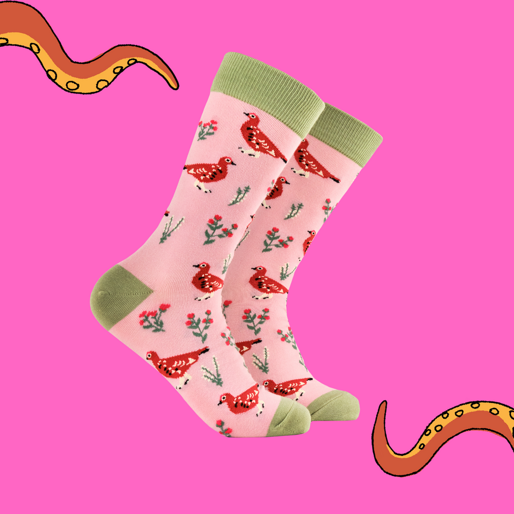 
                      
                        A pair of socks featuring a grouse motif. Pink legs, green heel, toe and cuff. 
                      
                    