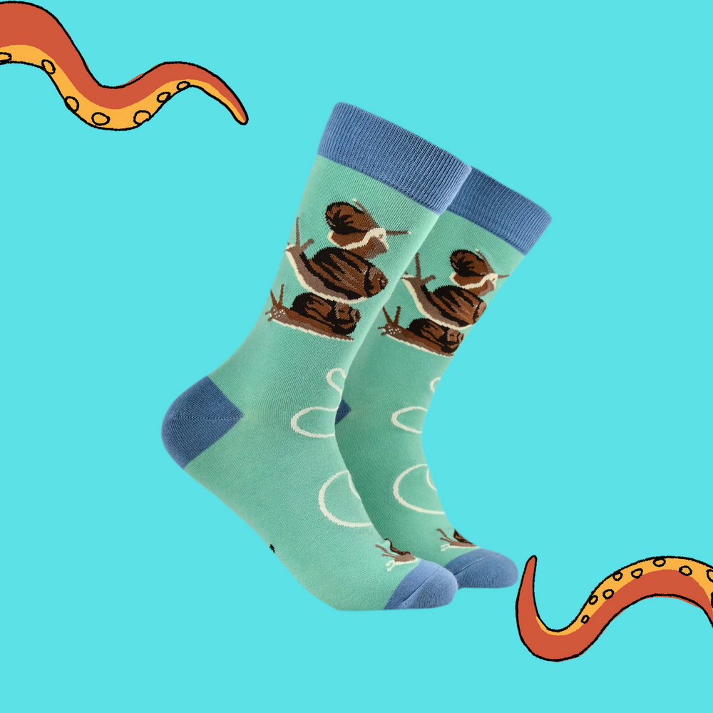 
                      
                        Snails Bamboo Socks
                      
                    