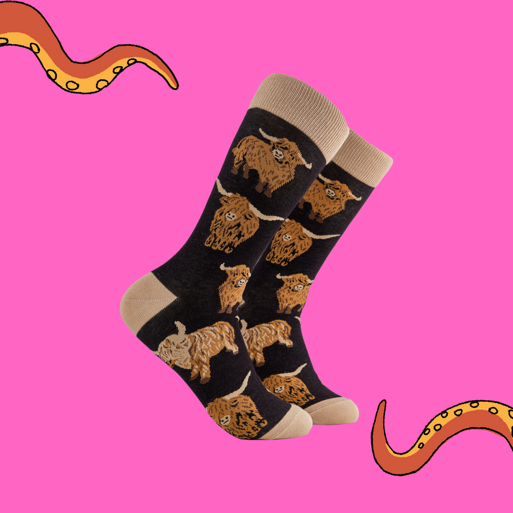 
                      
                        A pair of socks depicting highland cows. Black legs, cream cuff, heel and toe.
                      
                    