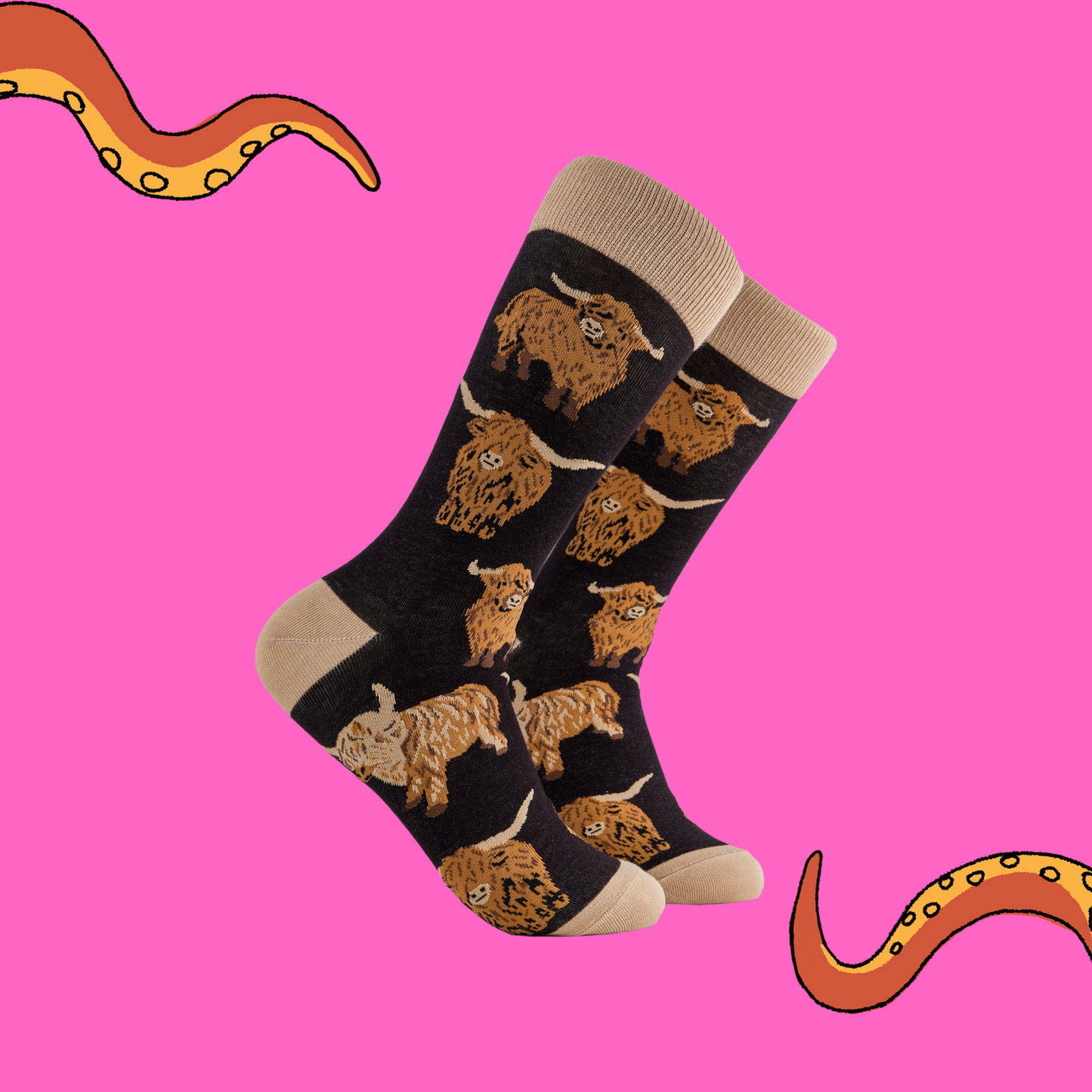 
                  
                    A pair of socks depicting highland cows. Black legs, cream cuff, heel and toe.
                  
                