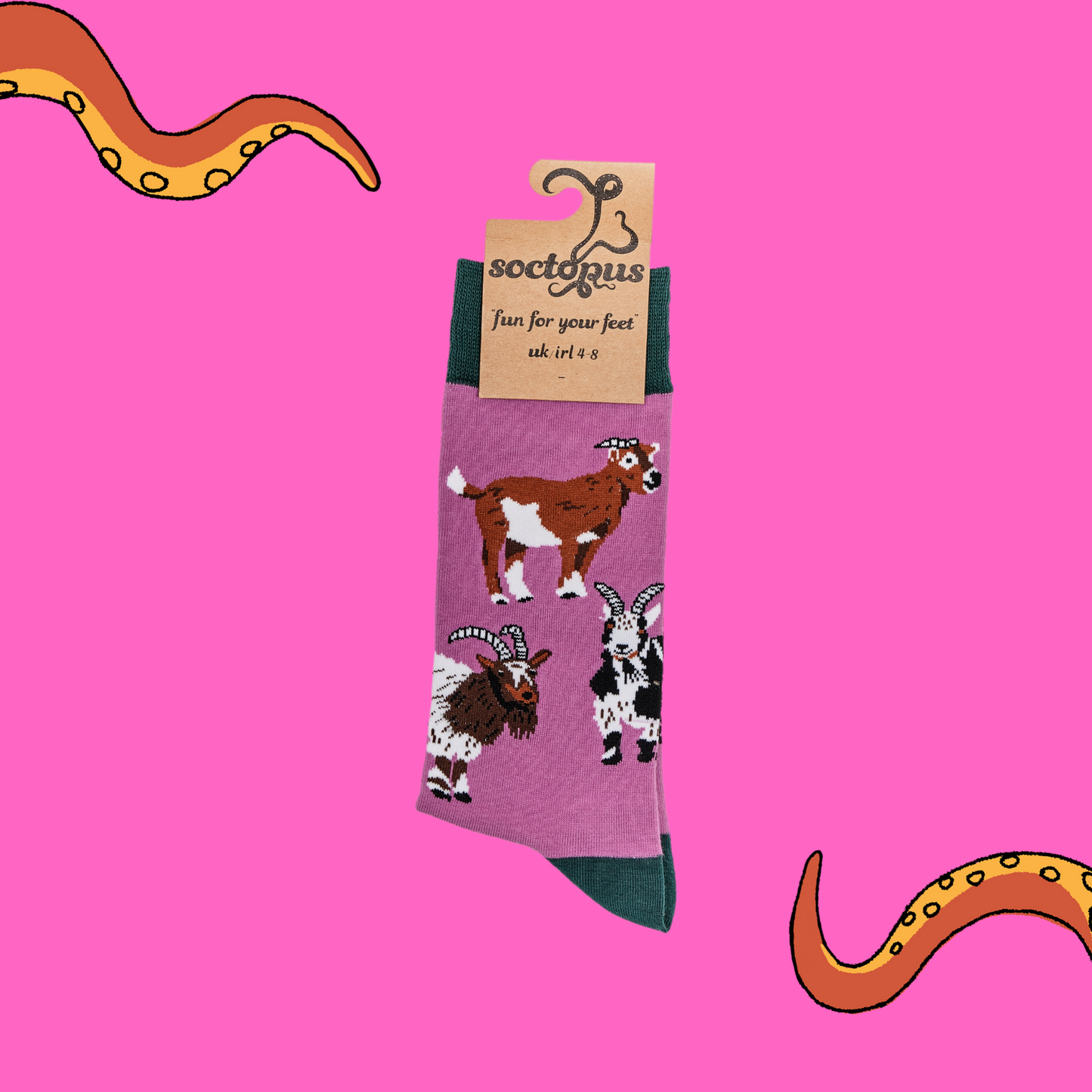 
                  
                    A pair of socks depicting different breeds of goat. Pink legs, green cuff, heel and toe. In Soctopus Packaging.
                  
                