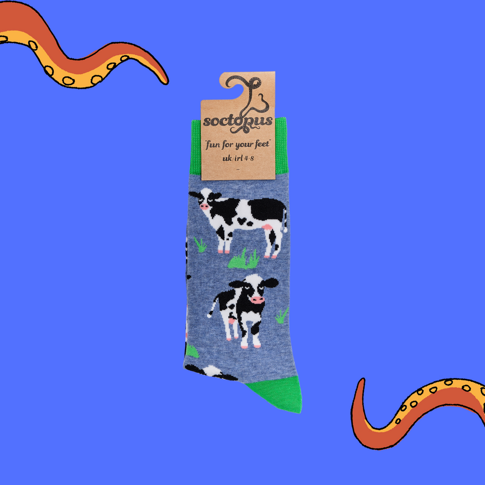 
                      
                        A pair of socks depicting grass and cows. Blue legs, green cuff, heel and toe. In Soctopus Packaging.
                      
                    