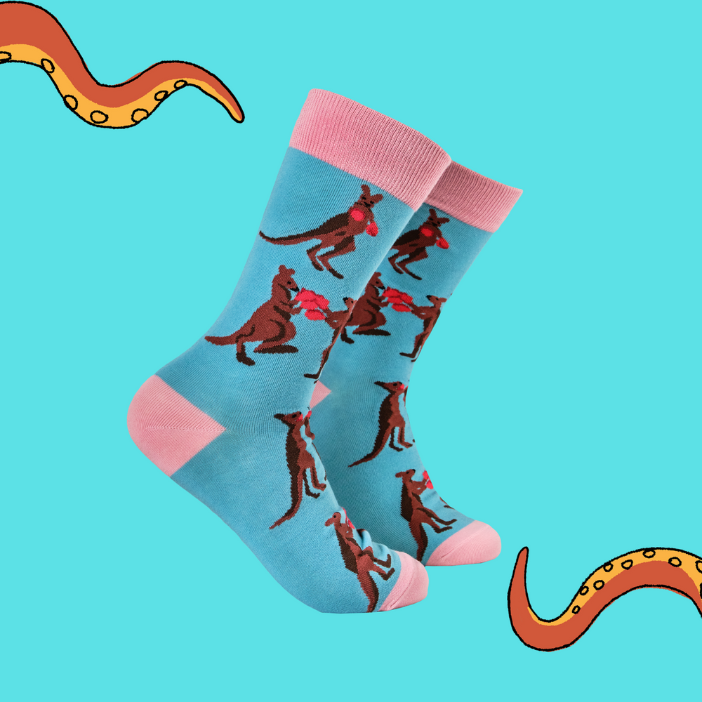 
                      
                        A pair of socks featuring a pair of boxing kangaroos. Bright blue legs, bright pink cuff, heel and toe. 
                      
                    