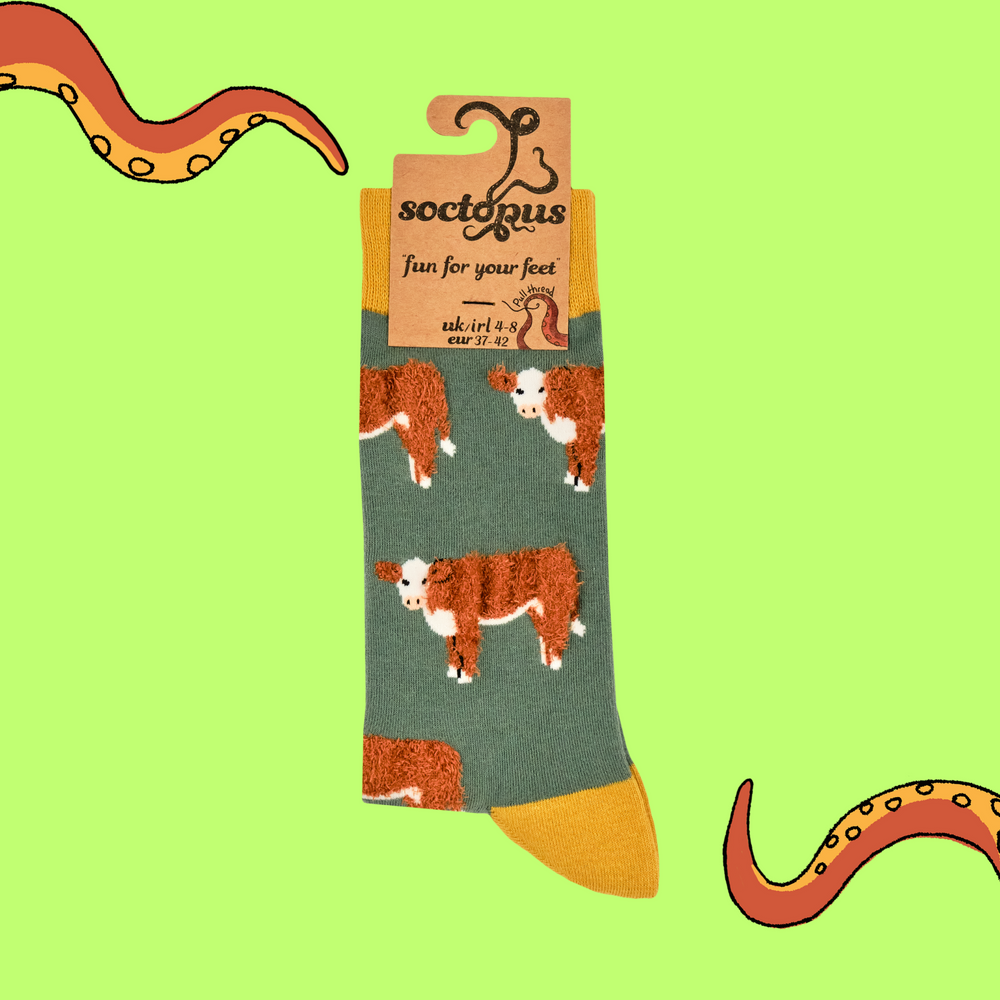 
                      
                        A pair of socks with fluffy highland cows. Green legs, yellow heel, toe and cuff. 
                      
                    