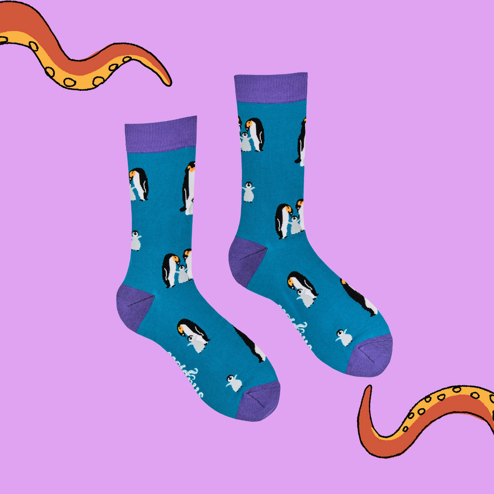 
                      
                        A pair of socks depicting a penguin family. Blue legs, purple cuff, heel and toe.
                      
                    