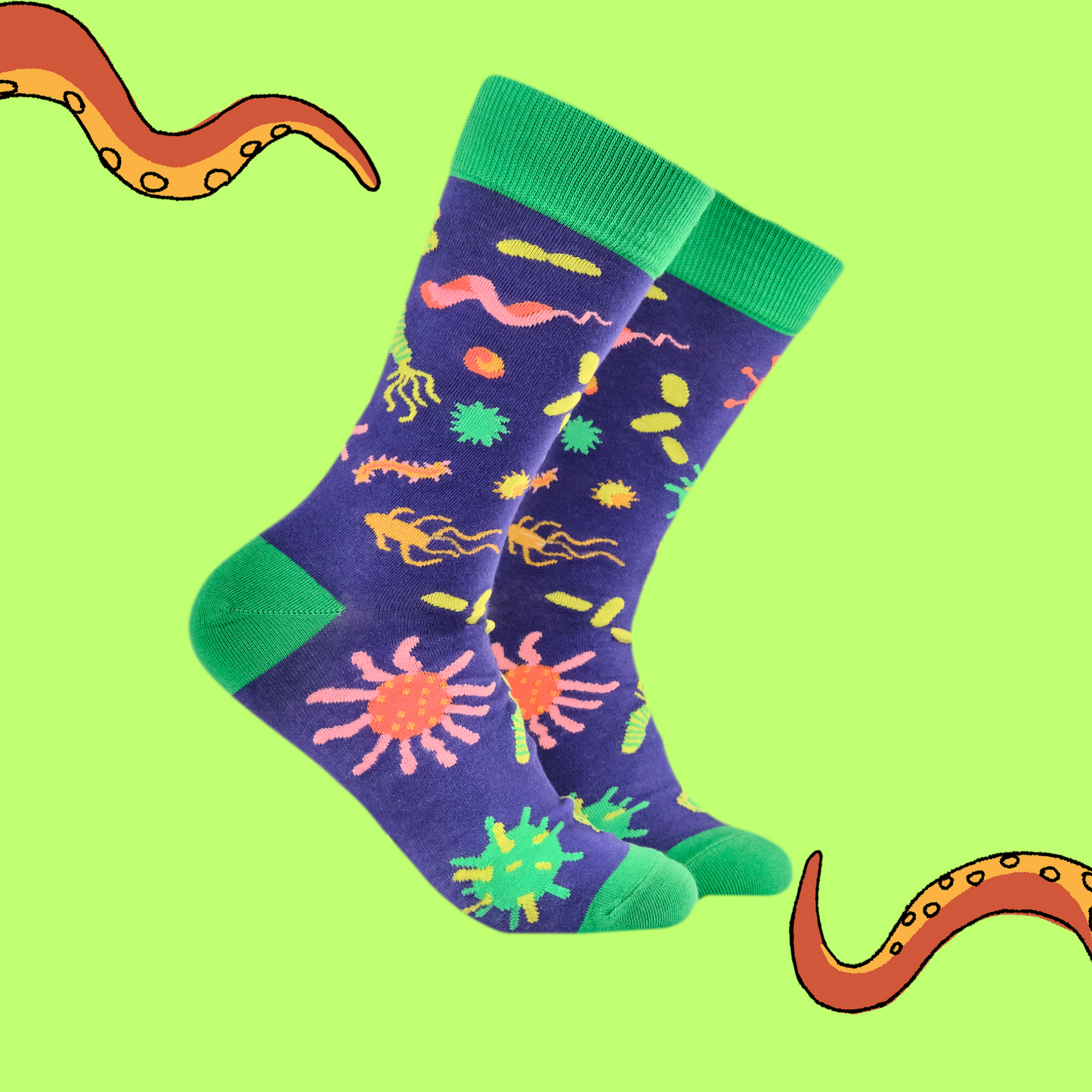 A pair of socks with a bacteria motif. Purple legs, green heel, toe and cuff. 