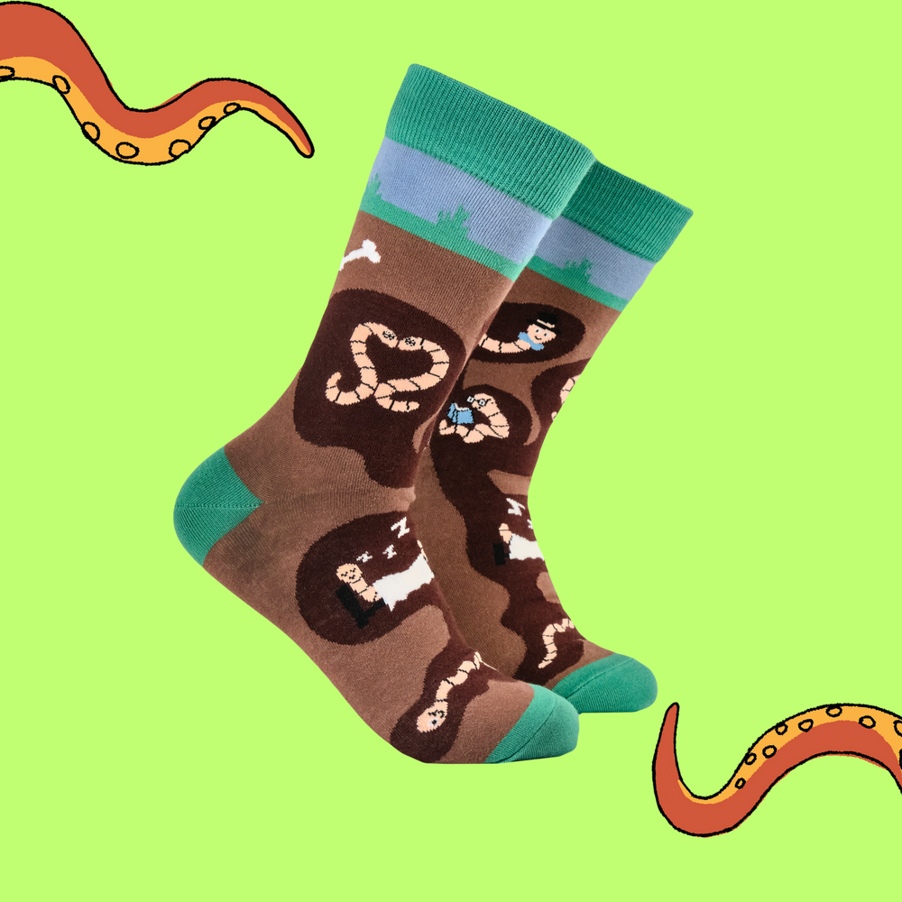 Wormery Socks. A pair of socks featuring earthworms. Brown legs, green heel, toe and cuff. 