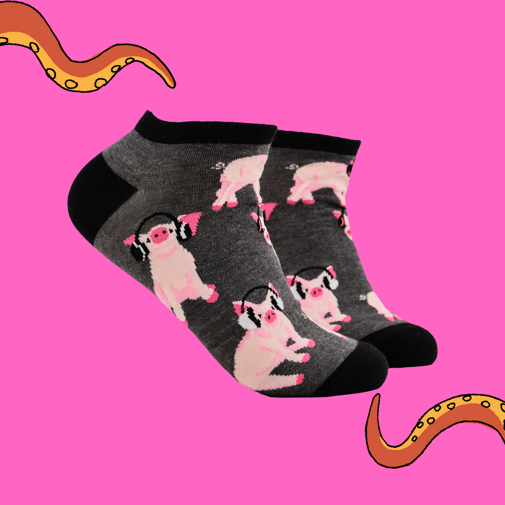 
                      
                        Pigs in Headphones Trainer Socks
                      
                    