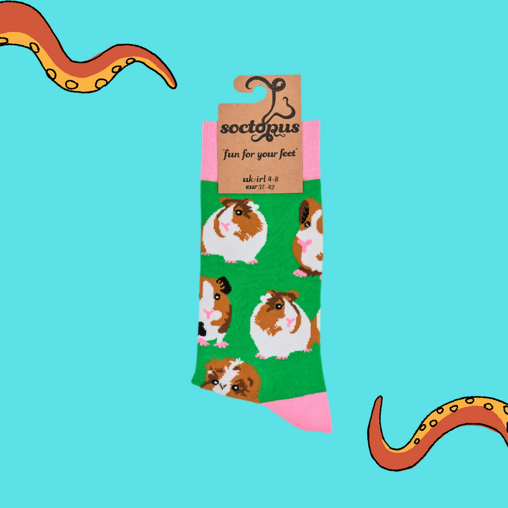 
                  
                    A pair of socks depicting guinea pigs. Green legs, pink cuff, heel and toe. In Soctopus Packaging.
                  
                