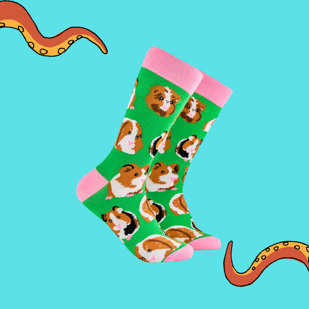 A pair of socks depicting guinea pigs. Green legs, pink cuff, heel and toe.