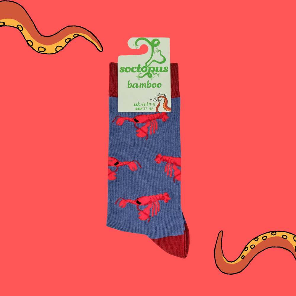 
                      
                        A pair of socks with a lobster motif. Blue legs, red heel, toe and cuff. 
                      
                    