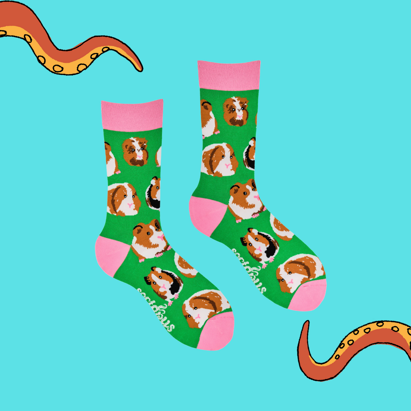 
                  
                    A pair of socks depicting guinea pigs. Green legs, pink cuff, heel and toe.
                  
                