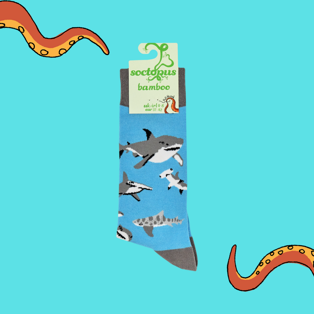 
                      
                        Shark Lover Bamboo Socks
                      
                    