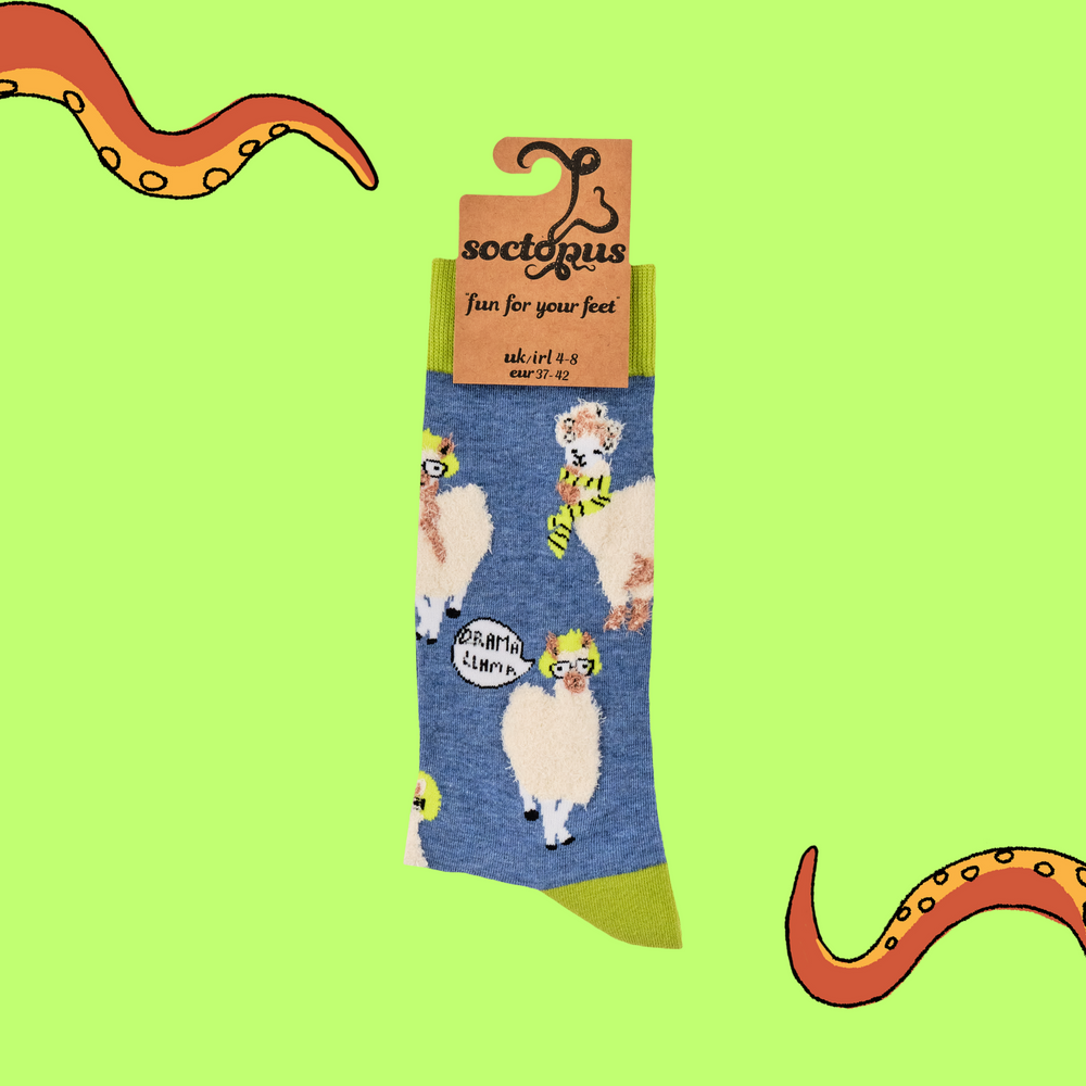 
                      
                        A pair of socks depicting Llamas causing drama. Blue legs, yellow heel, cuff and toe. 
                      
                    