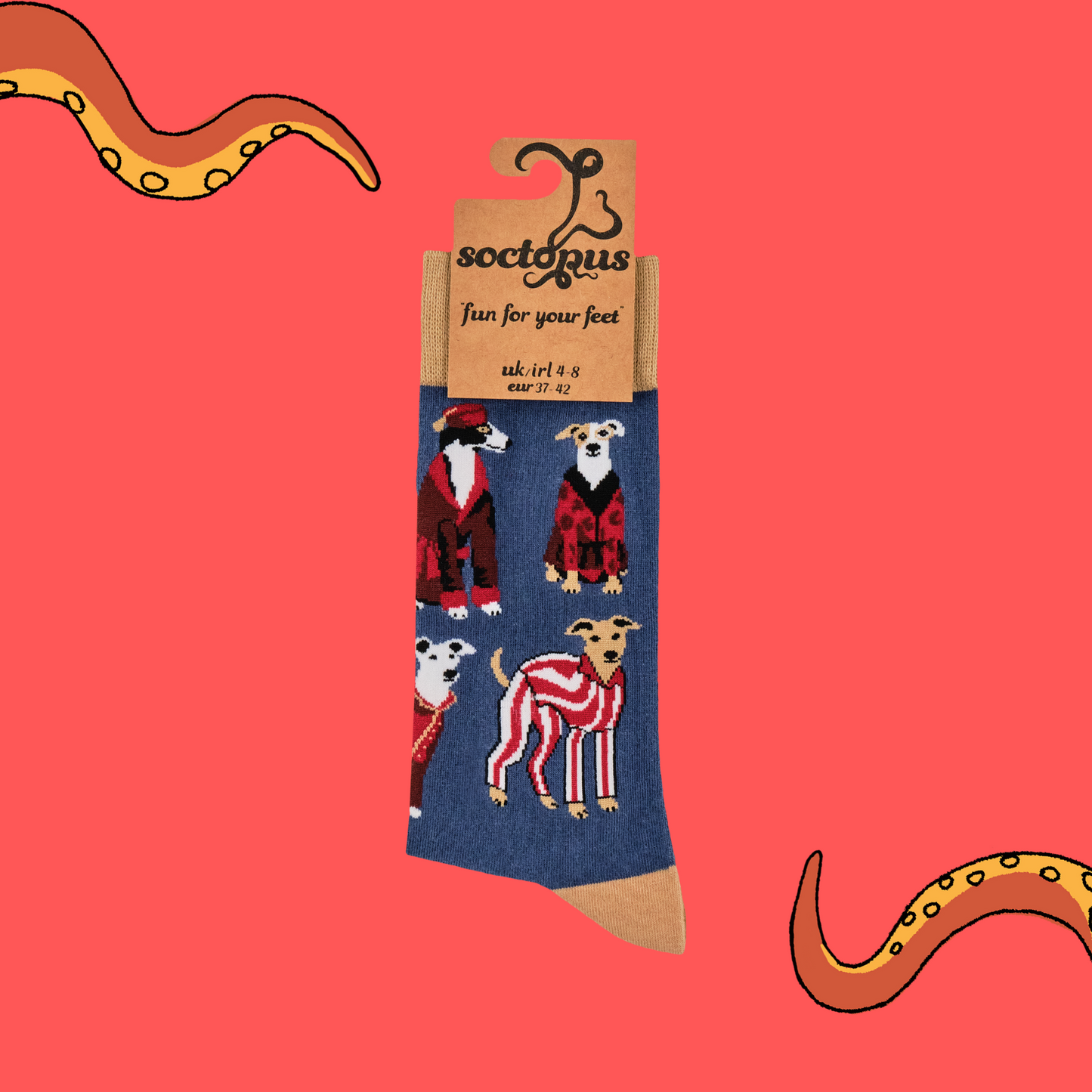 
                  
                    Socks depicting Italian Greyhound and Whippets wearing red patterned suits and formal gentlemen's attire. Blue legs and cream cuff, heel and toes. In Soctopus Packaging.
                  
                