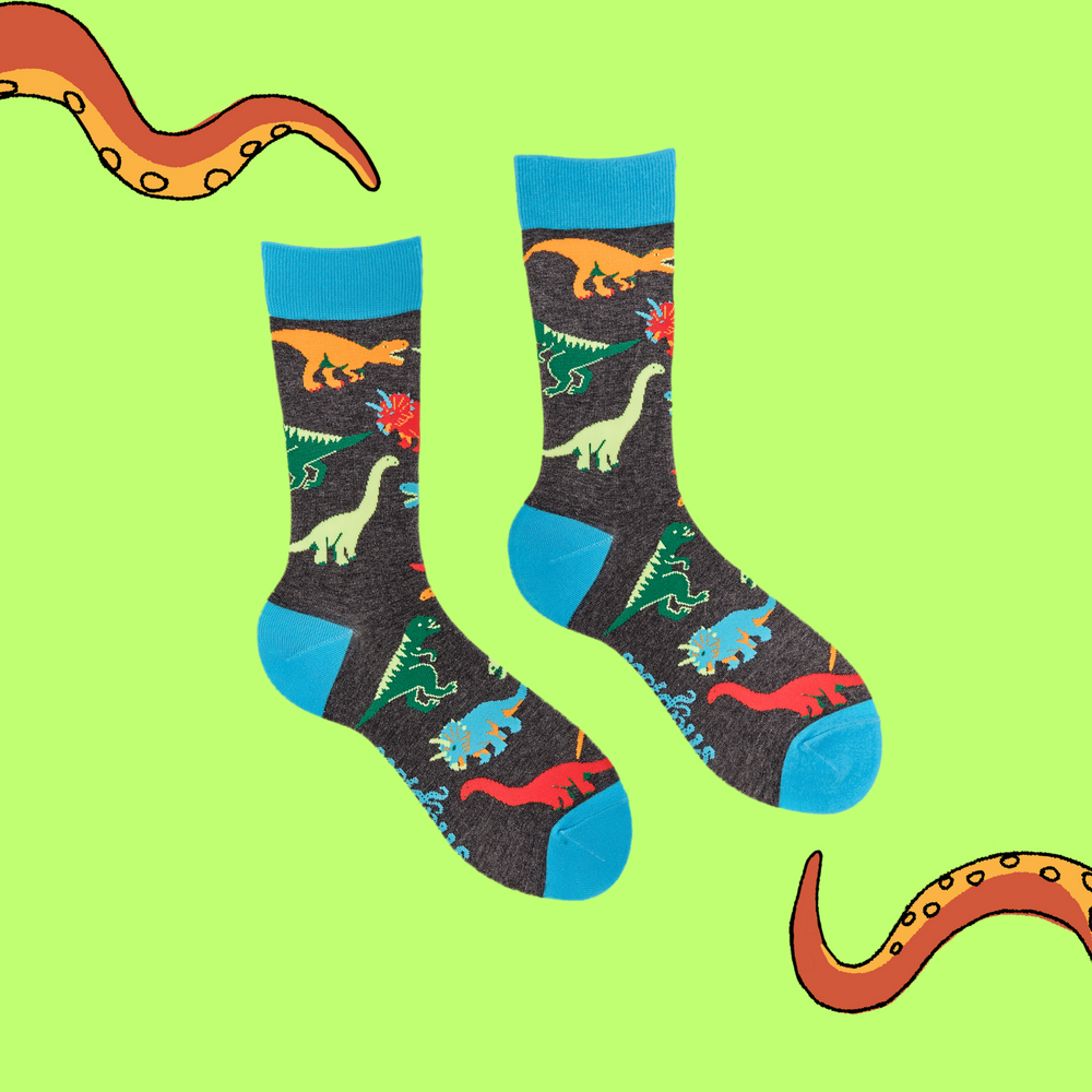 
                      
                        A pair of socks depicting dinosaurs. Grey legs, light blue cuff, heel and toe.
                      
                    