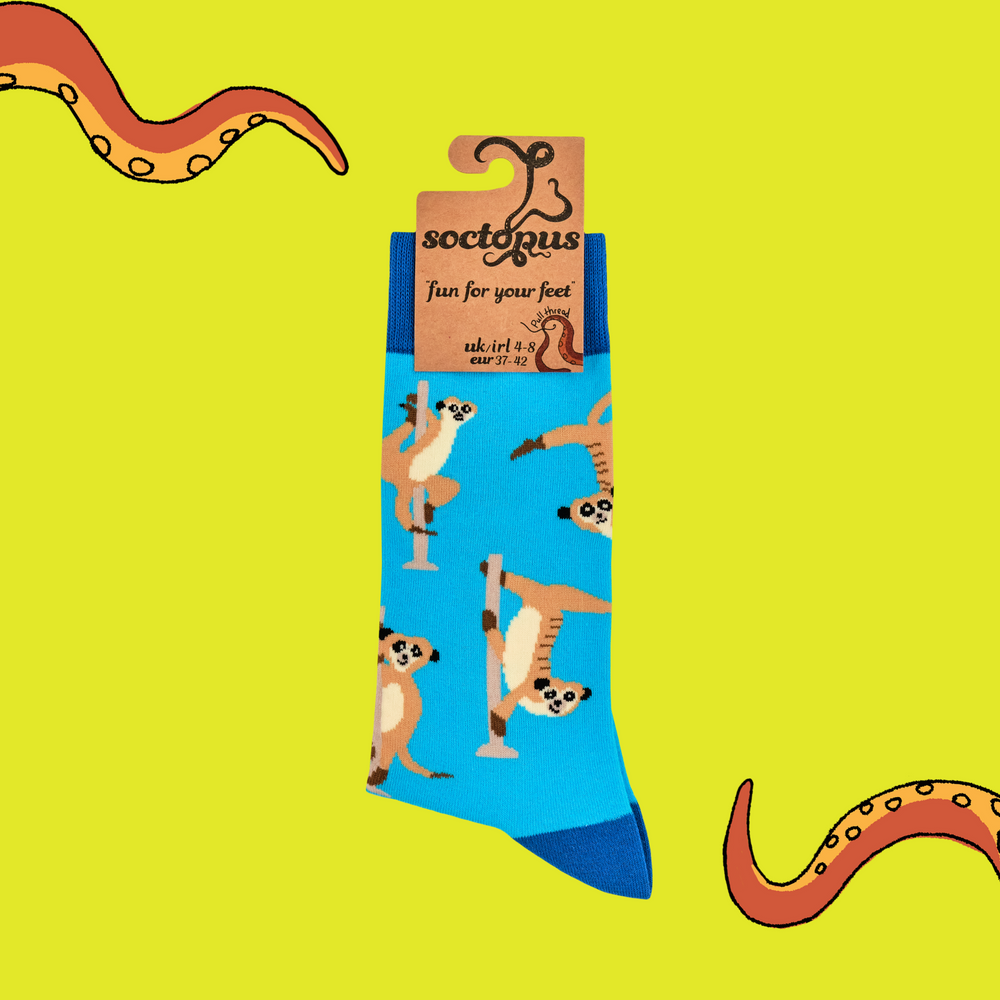 
                      
                        A pair of socks featuring pole dancing meerkats. Light blue legs, dark blue heel, toe and cuff. 
                      
                    