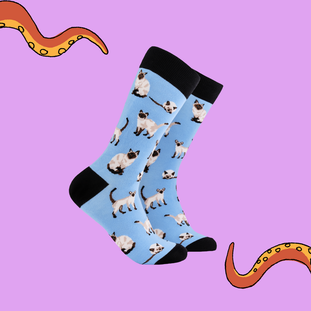A pair of socks depicting siamese cats. Blue legs, black cuff, heel and toe.