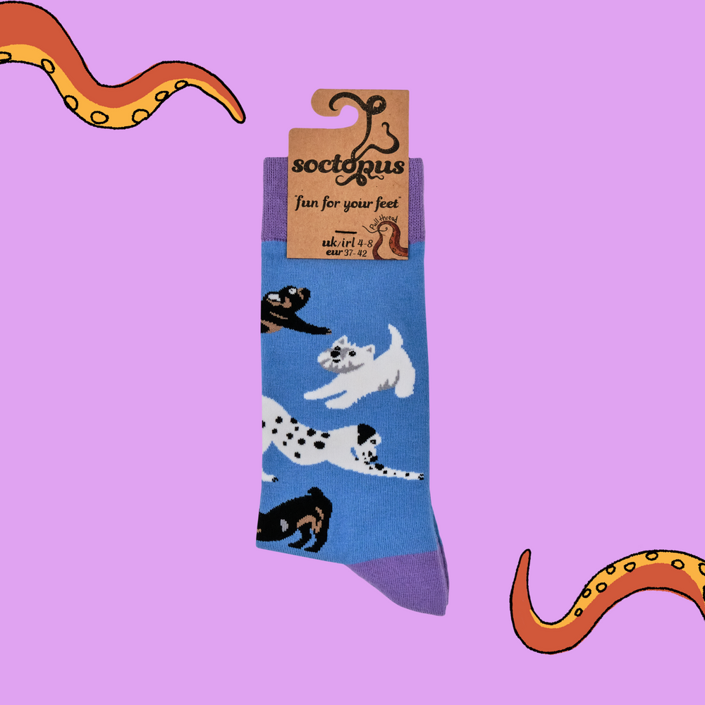 
                      
                        A pair of socks depicting dogs doing yoga. Blue legs, purple heel, toe and cuff. 
                      
                    