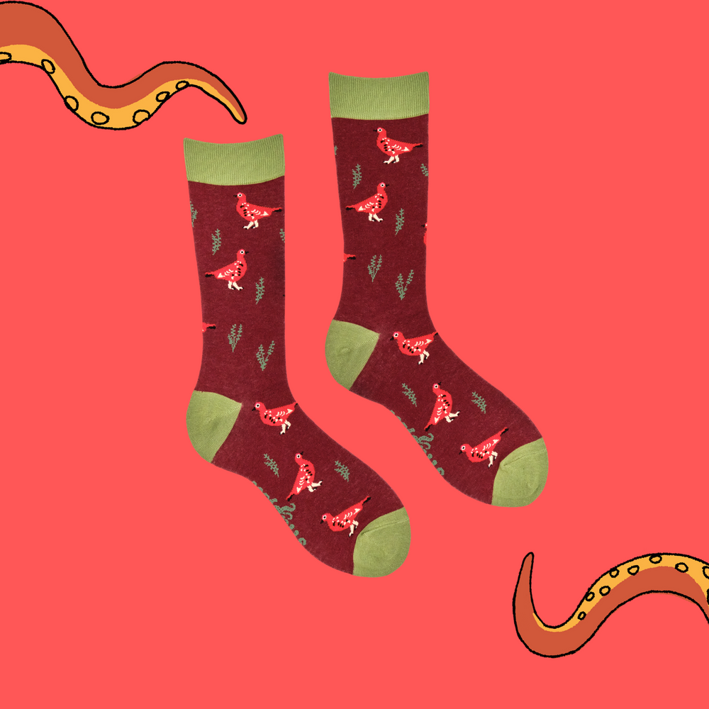 
                      
                        A pair of socks featuring a grouse motif. Red legs, green heel, toe and cuff. 
                      
                    