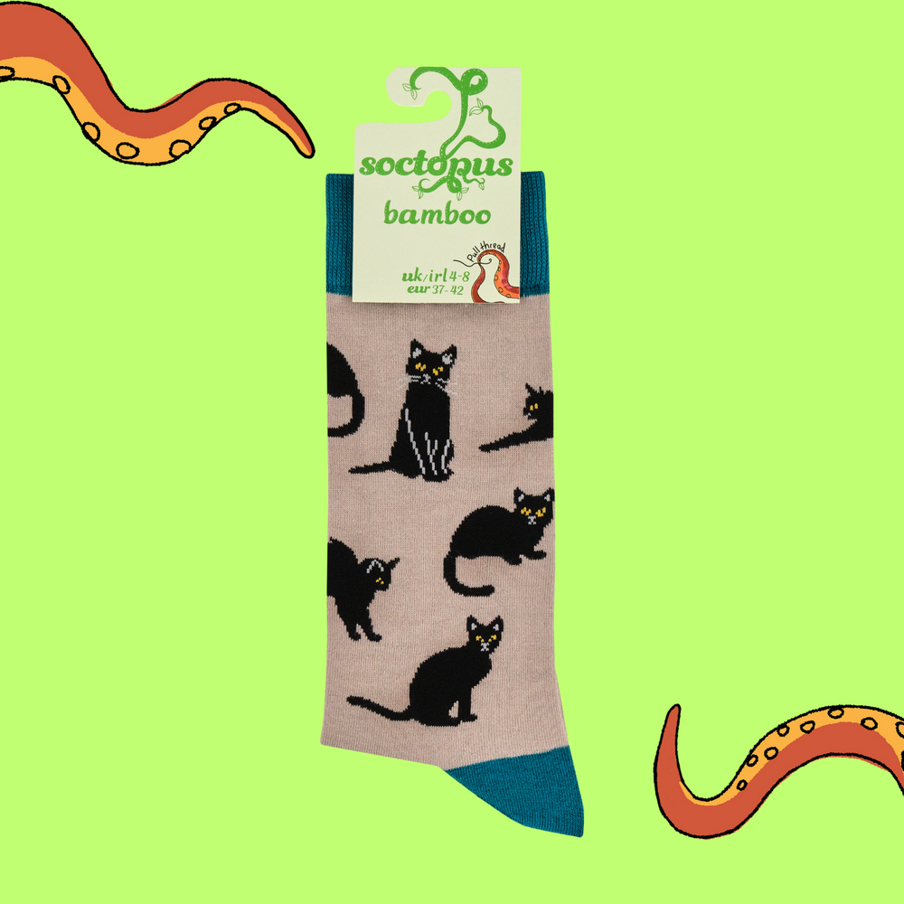 
                      
                        Black Cats Bamboo Socks
                      
                    