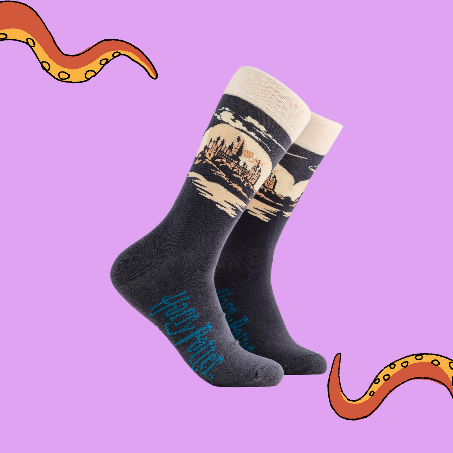 A pair of socks depicting Hogwarts Castle. Grey legs, cream cuff, grey heel and toe.