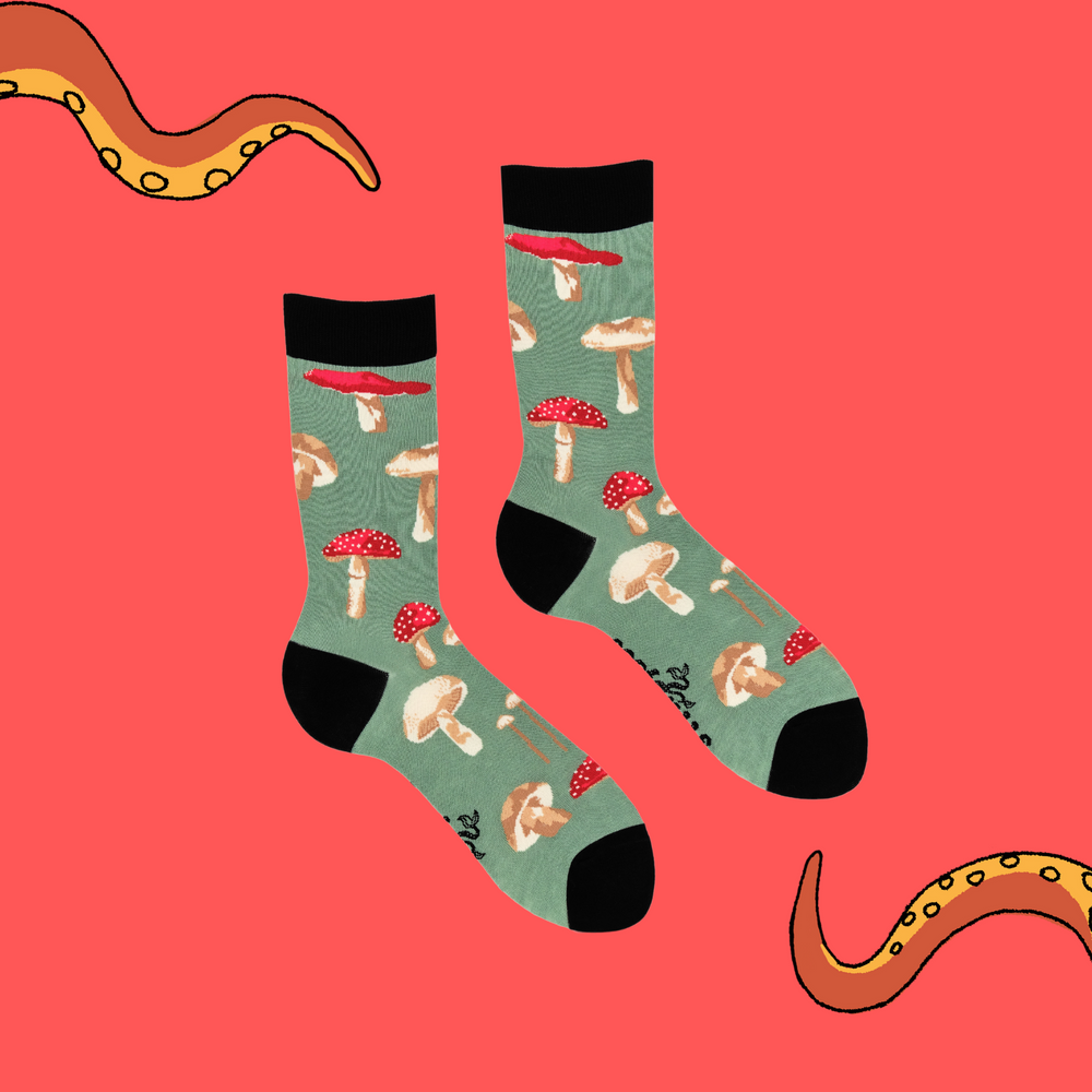 
                      
                        A pair of socks depicting different species of mushroom. Green legs, black cuff, heel and toe.
                      
                    