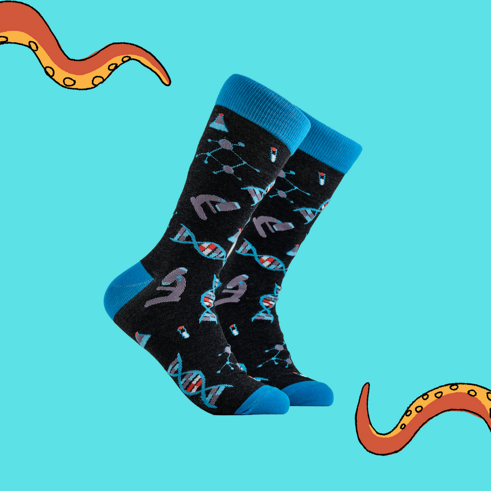 
                      
                        A pair of socks depicting DNA and microscopes. Black legs, light blue cuff, heel and toe.
                      
                    