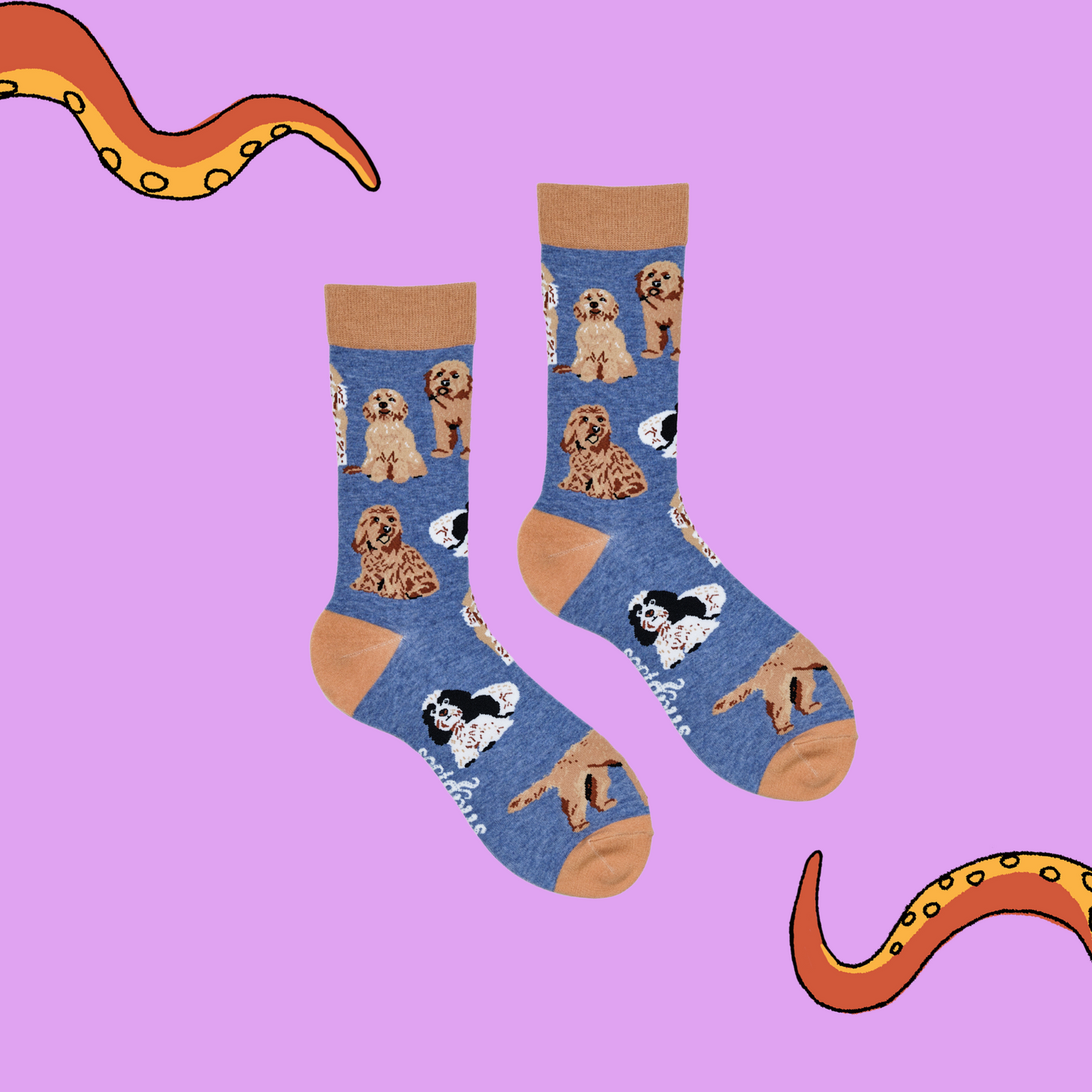 
                  
                    A pair of socks depicting cockapoo dogs. Blue legs, brown cuff, heel and toe.
                  
                