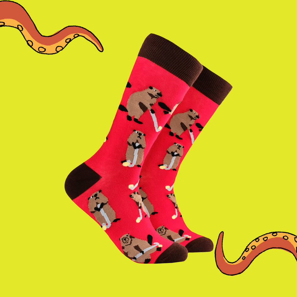 A pair of socks depicting a beaver playing hockey. Red legs, brown heel, toe and cuff. 